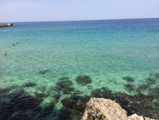 Elly House Monopoli Appartement Buitenkant foto
